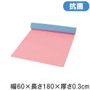 マット 幅60×長さ180×厚さ0.3cm ストレッチマット エクササイズマット ストレッチ エクササイズ スポーツ 競技 体操 備品 用具 体育館 スポーツ施設 S-8424