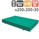 【P5倍5/5 13-15時&最大1万円クーポン5/5】 【法人限定】 体操マット 30cm厚 6号帆布 室内外兼用 200×300×30cm 体育マット エバ...