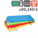 【P5倍11/30 13-15時&最大1万円クーポン11/30】 体操マット 5cm厚 4号帆布 抗菌 すべり止め付 90×240×5cm SGマーク付 体育マット 運動マット カラーマット 学校 体育 マット運動 回転運動 日本製 S-9861-76 その1