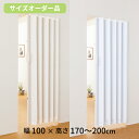 【P5倍5/10 13-15時&最大1万円クーポン5/9-15】 アコーディオンカーテン 幅100×高さ170~200cm オーダー アコーディオンドア パネル...