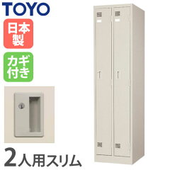 https://thumbnail.image.rakuten.co.jp/@0_mall/look-it/cabinet/48-toyo/48-lk-2s-tng.jpg