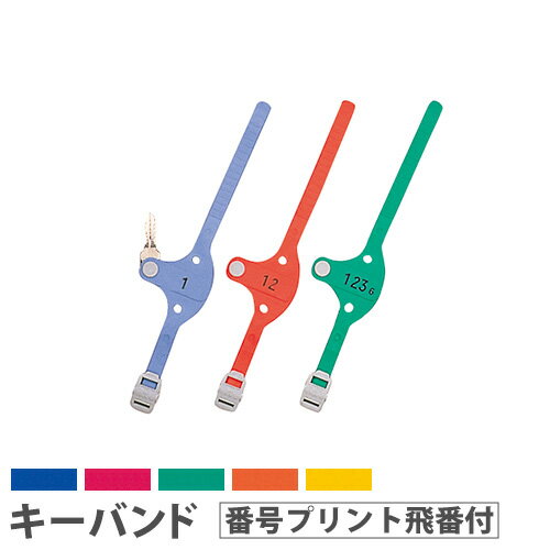 【P3倍6/1 13-15時&最大1万円クーポン6/1~7】 【法人限定】 キーバンド キー・オ・メイトS 番号プリン..