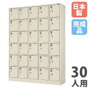 【法人限定】 【搬入設置】 シューズロッカー 30人用 5列6段 中棚付 シリンダー錠 下駄箱 シューズボックス 玄関収納 業務用 会社 完成品 日本製 SLK-3056-TNG