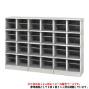 【P5倍7/20 13-15時&最大1万円クーポン7/19-25】 シューズロッカー 12人用 樹脂製 扉なし 中棚付き プラスチックロッカー プラロッカー シューズボックス 下駄箱 オープン 靴箱 学校 オフィス 2列6段 TJL-S-26T