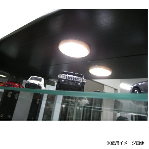  LEDダウンライト コレクションラック用照明 LED照明 LEDライト 飾り棚用 オプション イースト 丸型LEDダウンライト EAST-LED 