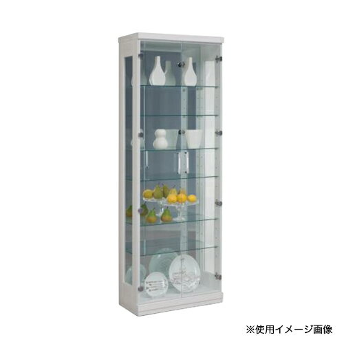 【P5倍11/30 13-15時&最大1万円クーポン11/30】 コレクションラック 送料無料 コレクションボード ディ..