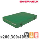 【P5倍5/30 13-15時&最大1万円クーポン5/30】 専用交換袋 エバーマット 一枚物 エバニュー 幅200×長さ300×厚さ40cm用 ポリエステル6...