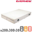 【P3倍6/1 13-15時&最大1万円クーポン6/1】 専用交換袋 エバニュー 屋内用エバーマット 滑止付 抗菌タイプ 幅200×長さ300×厚さ30cm ビ...