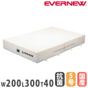 【P5倍5/25 13-15時&最大1万円クーポン5/23-26】 エバーマット 屋内用 二つ折 エバニュー 抗菌タイプ 幅200×長さ300×厚さ40cm ビ...