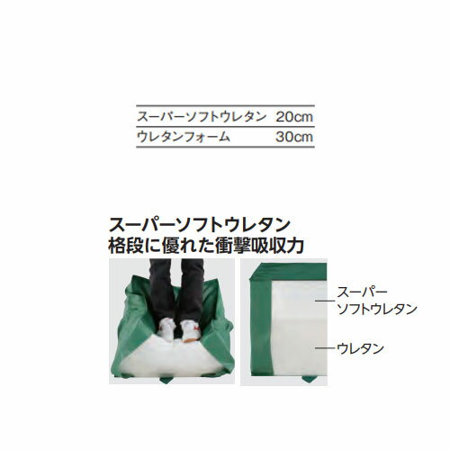 ���С��ޥå� ����ʪ ���Х˥塼 ���եȥ�å���ޥå� ��200��Ĺ��400�߸���50cm �ݥꥨ���ƥ�6���ɿ����� �����ѡ����եȥ��쥿�� �ޥå� �ΰ� ������ EGD353