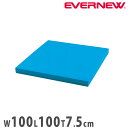 浮島100ST エバニュー 幅100×長さ100×厚さ7.5cm ポリエチレンフォーム 赤 青 水泳補助具 大型ビート板 フロート スイミングスクール スポーツ施設 学校 EHA181