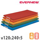 【P5倍5/30 13-15時&最大1万円クーポン5/30】 カラー体操マット エバニュー 幅120×長さ240×厚さ5cm 再生ポリエステル4号帆布 赤 オレ...