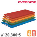 カラー体操マット エバニュー 幅120×長さ300×厚さ5cm 滑止付 再生ポリエステル4号帆布 赤 オレンジ 黄 緑 青 日本教材備品協会安全基準適合品 日本...