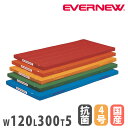 【P5倍5/30 13-15時&最大1万円クーポン5/30】 カラー体操マット エバニュー 幅120×長さ300×厚さ5cm 再生ポリエステル4号帆布 抗菌 防...