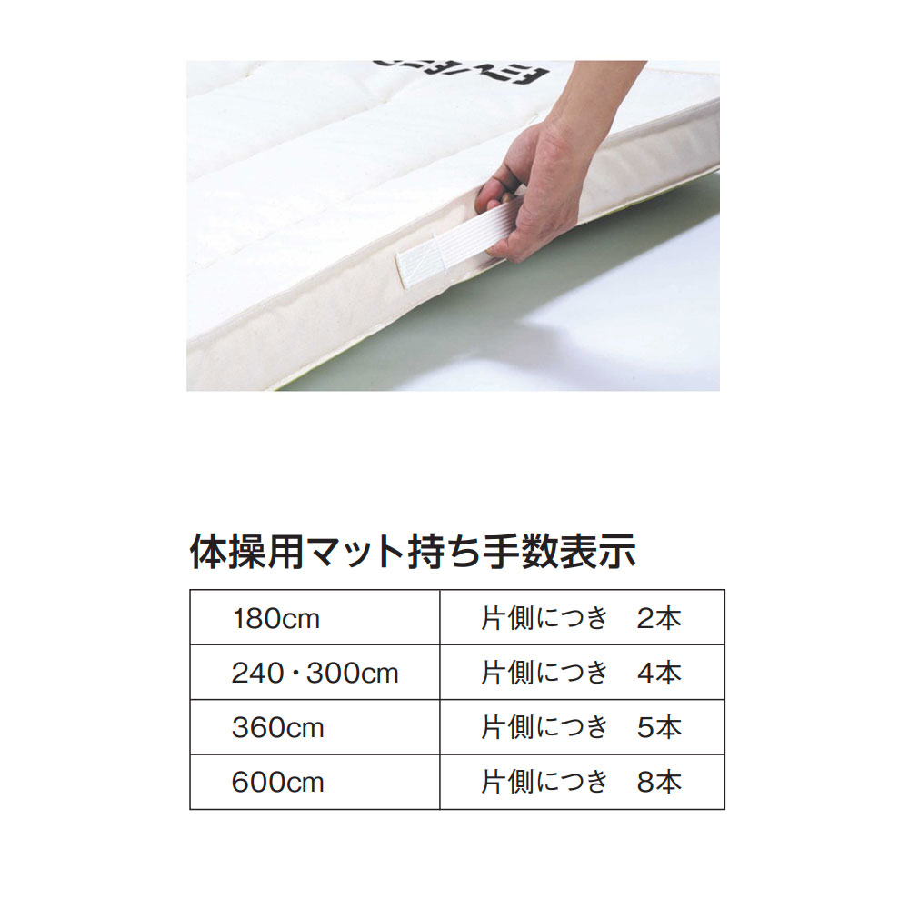 【ビジネス割10％OFF＆1200円OFFクーポン3/28-4/28】体操マット エバニュー 抗菌合成スポンジマット 幅150×長さ300×厚さ6cm 9号帆布 SG仕様品 日本教材備品協会安全基準適合品 マット 体育マット 日本製 EKM126