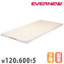 体操マット エバニュー 合成スポンジマット 幅120×長さ600×厚さ5cm 9号帆布 SG仕様品 日本教材備品協会安全基準適合品 マット 体育マット 体育 日...