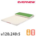 体操マット エバニュー コンビマット 滑止付 幅120×長さ240×厚さ5cm 9号帆布 SG仕様品 日本教材備品協会安全基準適合品 体育用マット 体操教室 日...