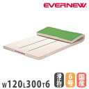 【最大1万円クーポン7/19-25】 体操マット エバニュー 幅120×長さ300×厚さ6cm ライン入 裏面すべり止付 6号帆布 合成スポンジ 日本教材備品協...