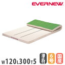 【最大1万円クーポン7/19-25】 体操マット エバニュー 幅120×長さ300×厚さ5cm ライン入 裏面すべり止付 6号帆布 合成スポンジ 日本教材備品協...