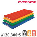 【P5倍5/25 13-15時&最大1万円クーポン5/23-26】 カラー体操マット エバニュー 幅120×長さ300×厚さ5cm ポリエステル6号防水帆布 赤...