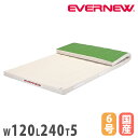 体操マット エバニュー ミラスポンジマット 滑止付 幅120×長さ240×厚さ5cm 6号帆布 SG仕様品 日本教材備品協会安全基準適合品 体育マット 体育 日...