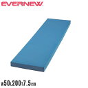 ロングビート板 エバニュー 幅50×長さ200×厚さ7.5cm ポリエチレンフォーム 水泳補助具 大型ビート板 フロート 水泳用品 スイミングスクール 練習用品 EHA191
