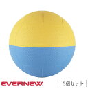 【P5倍9/15 13-15時&最大1万円クーポン9/15】 ライトドッジボール 5個セット エバニュー 最大時直径19cm 合成ゴム製 トレーニングボール ド...