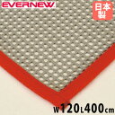 【P5倍7/20 13-15時&最大1万円クーポン7/19-25】 すべり止めネット エバニュー 幅120×長さ400cm 厚さ2mm ポリエステル PVCコー...