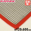 【最大1万円クーポン6/22-26】 すべり止めネット エバニュー 幅120×長さ600cm 厚さ2mm ポリエステル PVCコーティングネット すべり止めマッ...