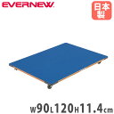 【最大1万円クーポン7/4-11】 跳び箱運搬車 エバニュー 幅90×長さ120×高さ11.4cm ラワン合板 カーペット貼 とび箱等器具移動四輪車 台車 跳び箱用台車 運搬車 運動施設 学校 日本製 EKF532(4)