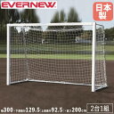 フットサルゴール 2台1組 エバニュー 幅300×高さ200cm スチール製 ペグ6本付 フットサル用ゴール フットサル用品 スポーツ施設 運動施設 部活動 日本製 EKD785