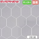 サッカーゴールネット ジュニア 2枚1組 エバニュー ネット目幅13.8×高さ16cm ポリエステル製 亀甲タイプ 無結節 白 ゴールネット サッカー用品 日本製 EKE364