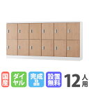 【最大1万円クーポン6/3-10】 【設置無料】 ロッカー 12人用 6列2段 浅型 ダイヤル錠 木目 シューズロッカー スチールロッカー かぎ付き オフィス収...