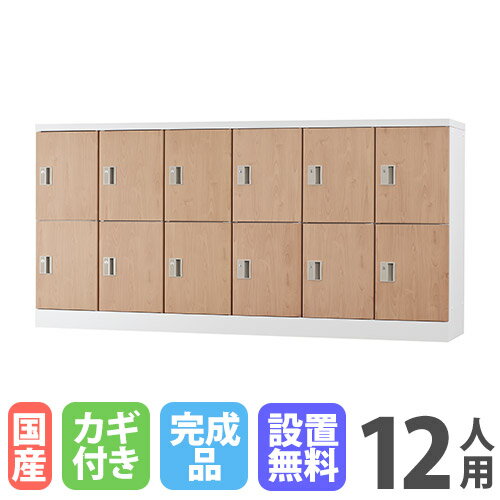 【最大1万円クーポン8/4-10】 【設置無料】 ロッカー 12人用 6列2段 深型 シリンダー錠 木目 シューズロッカー スチールロッカー かぎ付き オフィス収納 12人用ロッカー 収納庫 GLK-S12DYS-NT