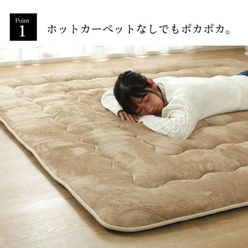 ラグ イケヒコ 190×240cm マット カーペット おしゃれ シンプルかわいい リビング 長方形 無地 洗える 北欧 こたつ敷布団 滑り止め 床暖房 撥水 層 HRF190240