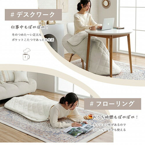 【P5倍10/15 13-15時&最大1万円クーポン10/14-16】 ポケットこたつ イケヒコ 無地 90×120cm 毛布 こたつ布団 炬燵布団 ブランケット ひざ掛け お一人様 こたつ 防寒 寒さ対策 防寒対策 あったかグッズ LAP90120 look-it-10659179 LOOKIT オフィス家具 インテリア サンプル画像3