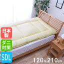 【P5倍6/25 13-15時&最大1万円クーポン6/22-26】 敷き布団 セミダブル ロング 敷布団 しきふとん 敷きふとん 敷き布団 寝具 布団 ふとん ...