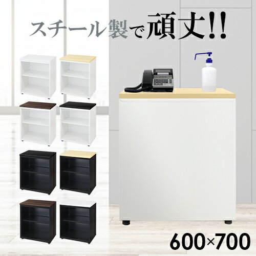 【P3倍6/1 13-15時&最大1万円クーポン6/1~7】 【法人送料無料】 マルチ台 無人受付カウンター ローカウンター アルコール台 受付台 電話台 受付カウンター アルコールスタンド 消毒液スタンド 受付 LD-C2LP