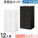 ロッカー 貴重品 収納 ボックス ダイヤル錠 12人用 金庫 キャビネット 貴重品ロッカー 貴重品入れ ホテル セキュリティ 鍵 小型 連結 店舗 オフィス NSAFE-26-2 LOOKIT オフィス家具 インテリア