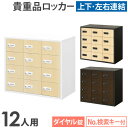 ロッカー 貴重品 収納 ボックス ダイヤル錠 12人用 木目 金庫 キャビネット 貴重品ロッカー 貴重品入れ ホテル セキュリティ 鍵 連結 店舗 オフィス NSAFE-34-2C LOOKIT オフィス家具 インテリア