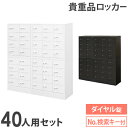ロッカー セット 貴重品 収納 ボックス ダイヤル錠 40人用 金庫 キャビネット 貴重品ロッカー 貴重品入れ ホテル セキュリティ 鍵 連結 オフィス NSAFE-58-2 LOOKIT オフィス家具 インテリア