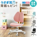 【倉庫受取限定】 学習椅子 肘なし 足置きリング付き オフィスチェア デスクチェア 子供 パソコンチェア ワークチェア PCチェア 学習チェア おしゃれ RBT...
