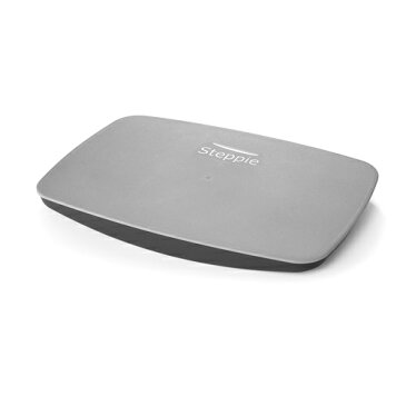 バランスボード ステッピー Steppie デンマーク製 バランス トレーニング 送料無料 HL00PC