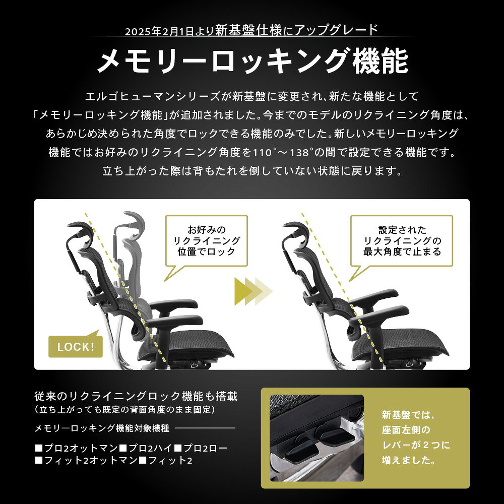 エルゴヒューマン フィット2 Ergohuman FIT2 5Dアームレスト 正規品 最長5年保証 デスクチェア メッシュチェア 高機能 ヘッドレスト 腰痛対策 EFIT2-HAM-5D-DR look-it-10672611 LOOKIT オフィス家具 インテリア サンプル画像3