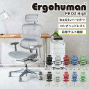 【最大1万円クーポン4/30】 エルゴヒューマンプロ2 Ergohuman Pro2 ハイタイプ オフィスチェア ヘッドレスト 高機能チェア メッシュチェア パソコンチェア PCチェア 椅子 肘付き EHP2-HAM