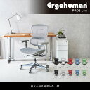 エルゴヒューマンプロ2 Ergohuman Pro2 ロータイプ オフィスチェア 高機能チェア メッシュチェア PCチェア ゲーミング 椅子 肘掛け 肘付 おしゃれ 黒 EHP2-LAM ルキット オフィス家具 インテリア 2