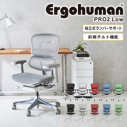 エルゴヒューマンプロ2 Ergohuman Pro2 ロータイプ オフィスチェア 高機能チェア メッシュチェア PCチェア ゲーミング 椅子 肘掛け 肘付 おしゃれ 黒 EHP2-LAM ルキット オフィス家具 インテリア