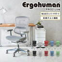 エルゴヒューマンプロ2 Ergohuman Pro2 