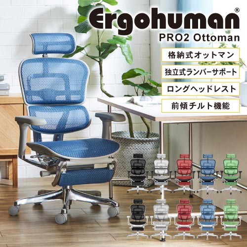 エルゴヒューマンプロ2 オットマン Ergohuman Pro2 ottoman ヘッドレスト 高機能チェア メッシュチェア パソコンチェア 肘付 エグゼクティブ おしゃれ EHP2-LPL ルキット オフィス家具 インテリア