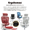 エルゴヒューマンプロ2 Ergohuman Pro2 ロータイプ オフィスチェア 高機能チェア メッシュチェア PCチェア ゲーミング 椅子 肘掛け 肘付 おしゃれ 黒 EHP2-LAM ルキット オフィス家具 インテリア 3